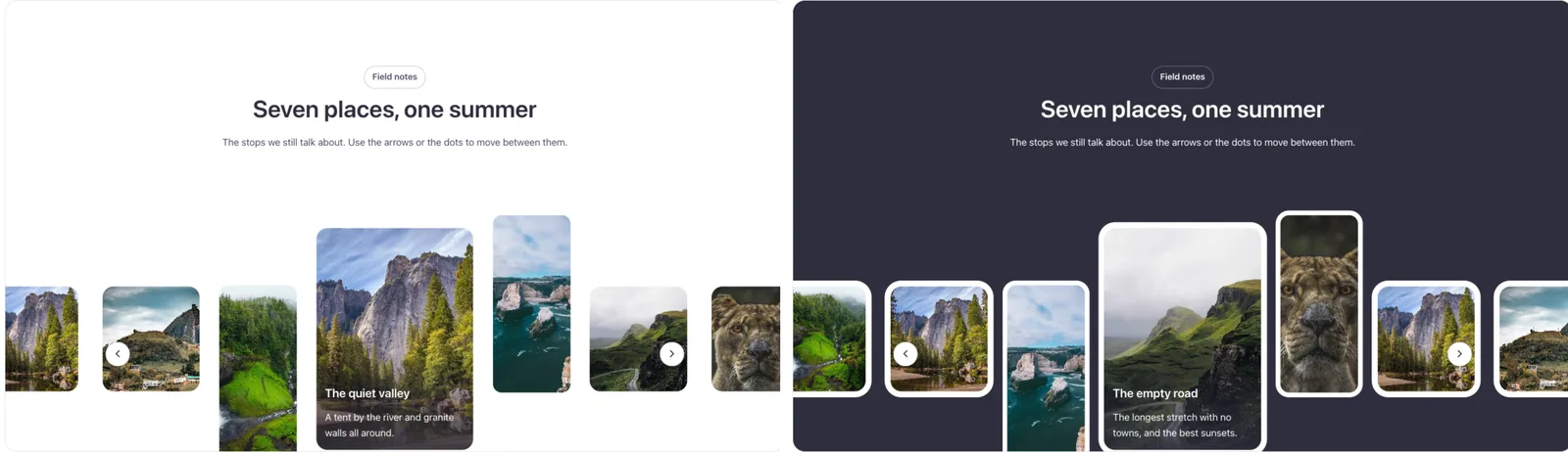 The same slider section side by side: on the left with the Light background, on the right with the Dark background