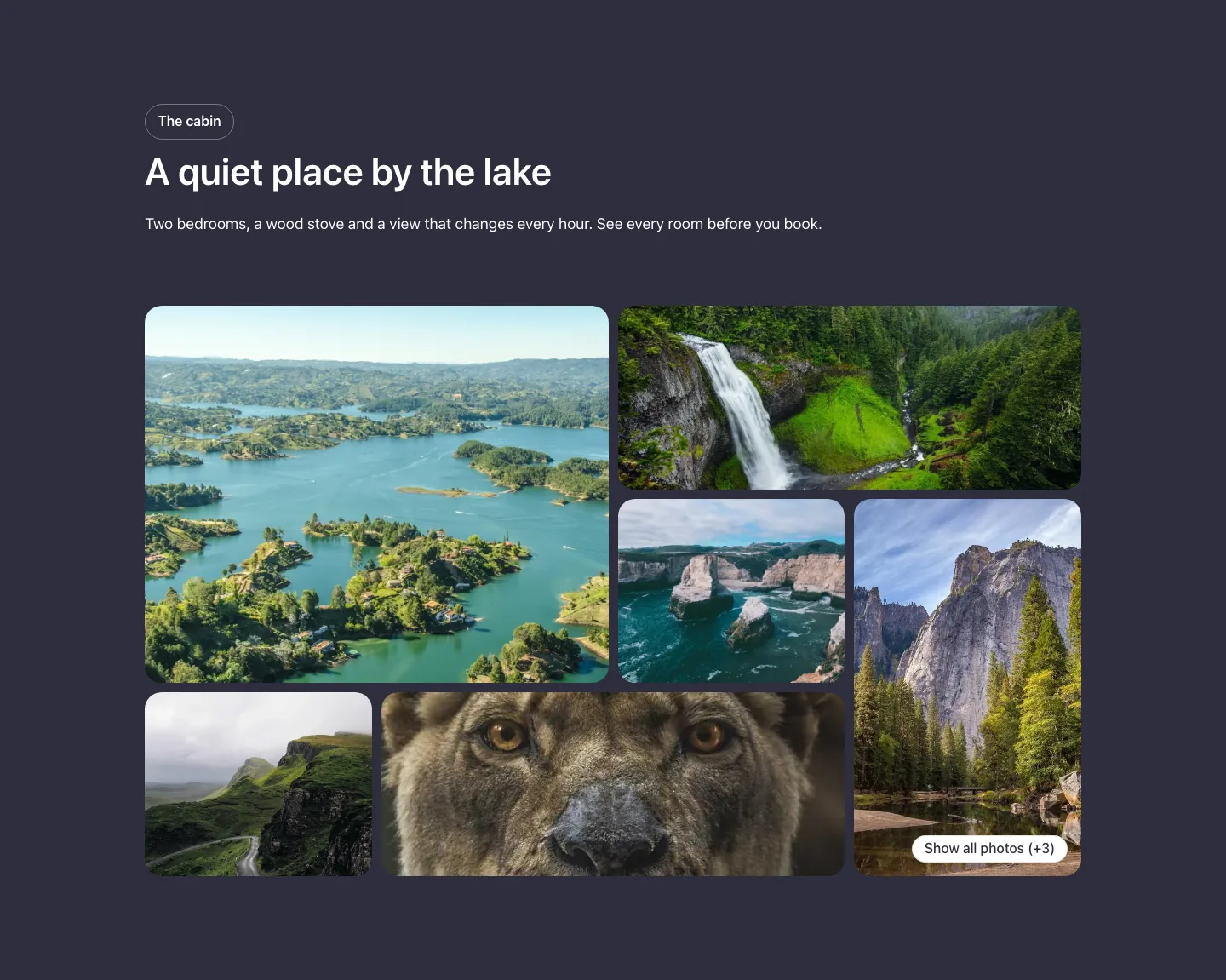 Gallery · Show all photos bento, with the site in dark mode