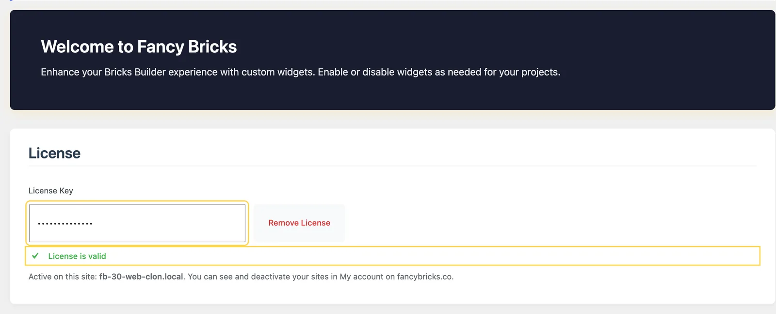 Bricks › Fancy Bricks in wp-admin: the License section with the License Key field and the status «License is valid»