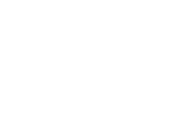 Fancy Bricks text