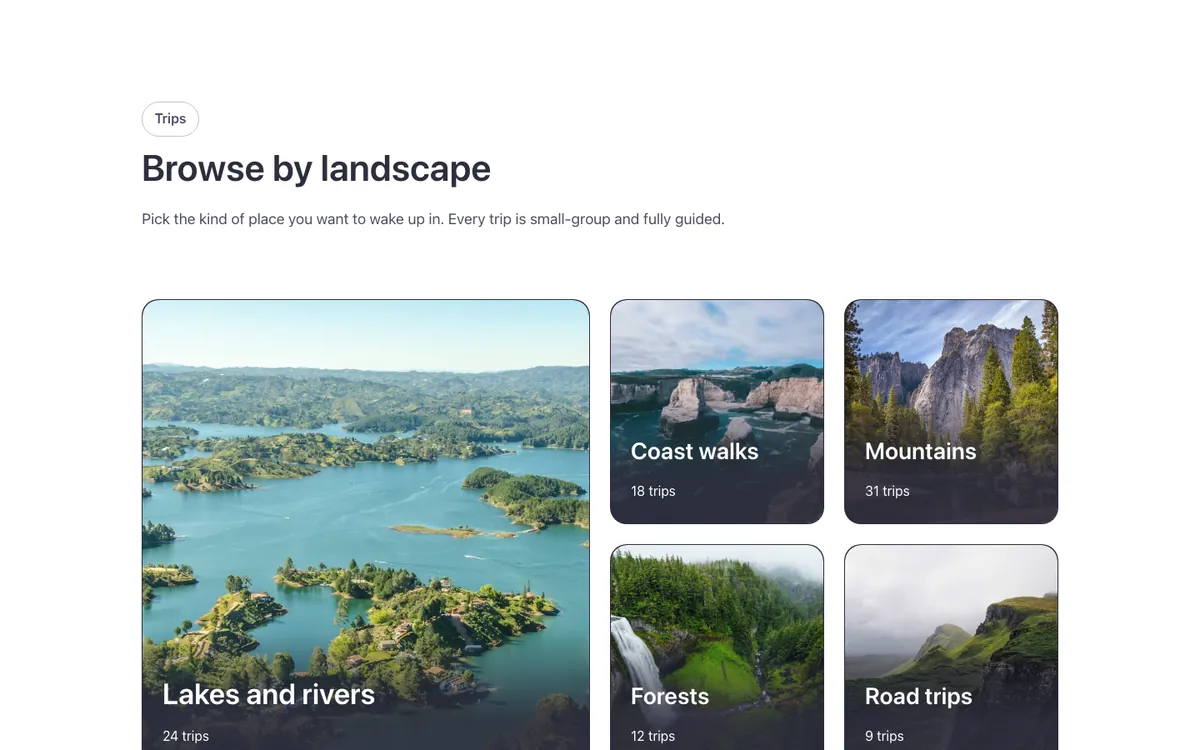 Preview of the category template: a category cards section for Bricks Builder