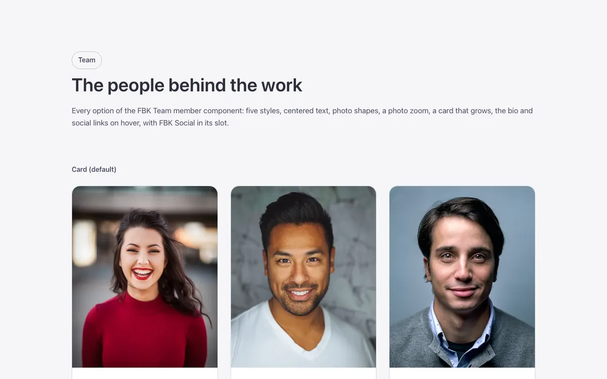 Preview of the team member template: a showcase of the FBK Team member component for Bricks Builder